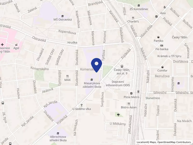 Masarykova základní škola a mateřská škola Český Těšín, Komenského 607/3, 73701 Český Těšín - Český Těšín, IČO 60784512