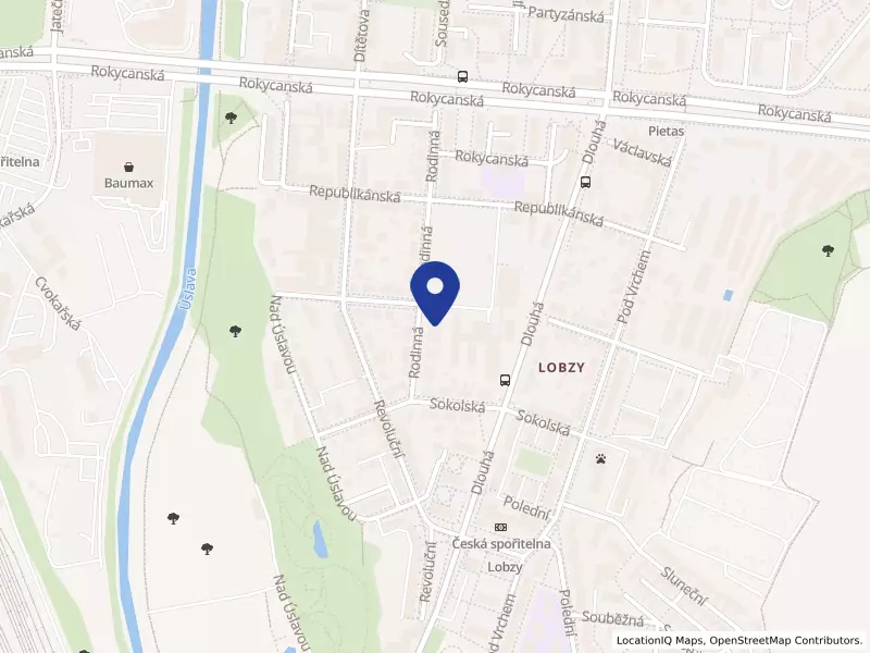 28. základní škola Plzeň, Rodinná 39, příspěvková organizace, Rodinná 965/39, 31200 Plzeň - Lobzy, IČO 70880026