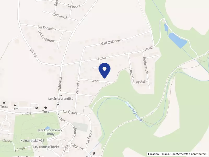 LEŠENÍ ŠÍŠA, s.r.o., Lesní 337, 28522 Zruč nad Sázavou - Zruč nad Sázavou, IČO 07664605