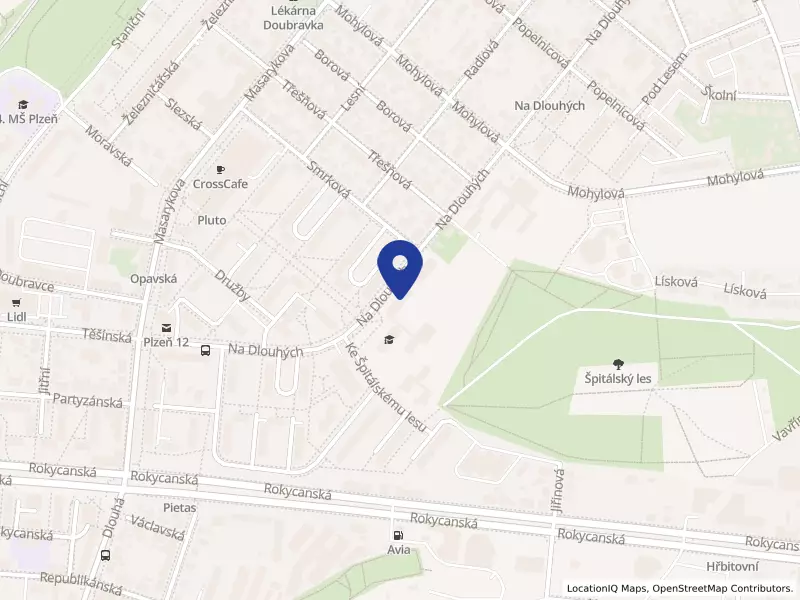 22. základní škola Plzeň, Na Dlouhých 49, příspěvková organizace, Na Dlouhých 1129/49, 31200 Plzeň - Doubravka, IČO 70837813