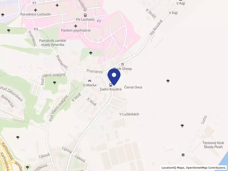 TRADE LICENCE CONSULTING s.r.o., Na Roudné 255/124, 30100 Plzeň - Severní Předměstí, IČO 29118441