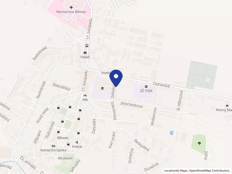 DIEGO CZECH s.r.o., Sokolovská 20/5, 74301 Bílovec - Bílovec, IČO 27827330