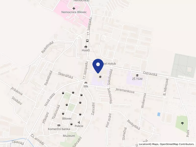 Gymnázium Mikuláše Koperníka, Bílovec, příspěvková organizace, 17. listopadu 526/18, 74301 Bílovec - Bílovec, IČO 00601667