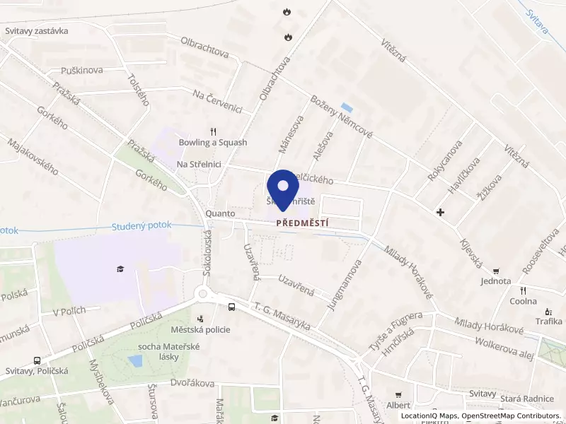 Základní škola Svitavy, Riegrova 4, Riegrova 600/4, 56802 Svitavy - Předměstí, IČO 49328263