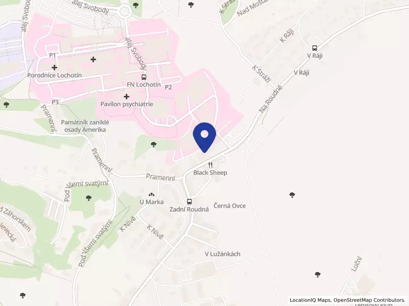 RAYAMAJHI s.r.o., Na Roudné 190/139, 30100 Plzeň - Severní Předměstí, IČO 05509181
