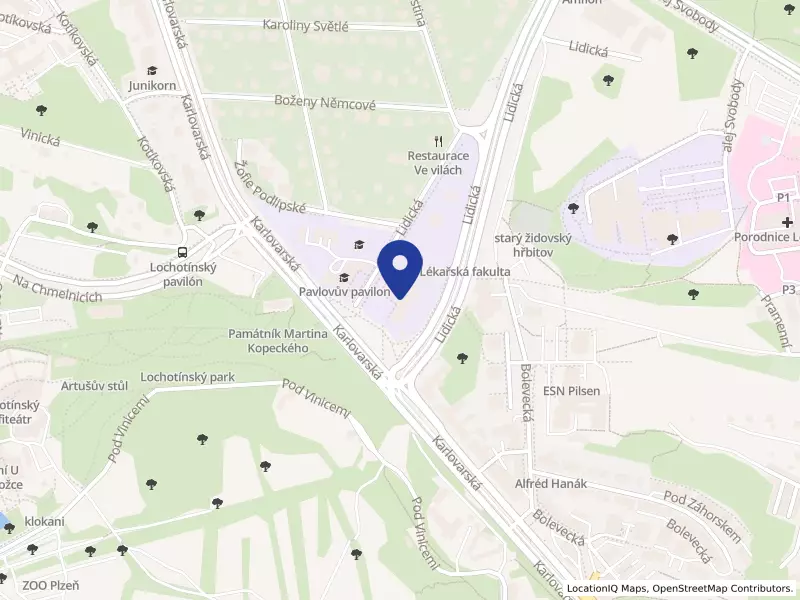Základní škola Montessori Plzeň, Plzeň, Karlovarská 585/48, 30100 Plzeň - Severní Předměstí, IČO 02551217