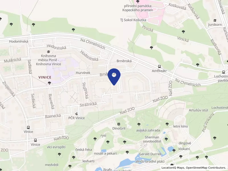 Služby v dopravě s.r.o., Břeclavská 961/6, 32300 Plzeň - Severní Předměstí, IČO 03553086