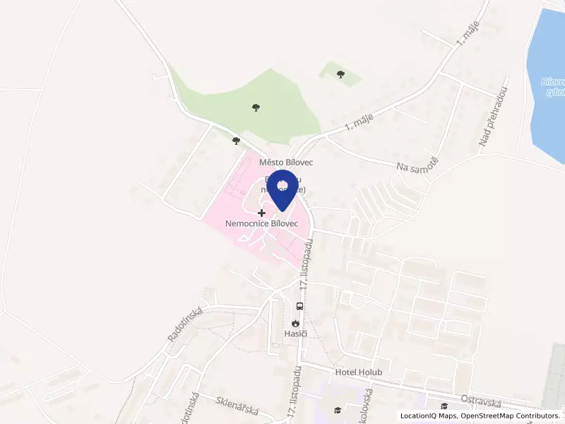 Bílovecká nemocnice, a.s., 17. listopadu 538/57, 74301 Bílovec - Bílovec, IČO 26865858