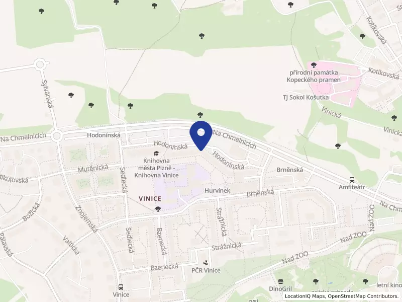 DELIO s.r.o., Hodonínská 983/41, 32300 Plzeň - Severní Předměstí, IČO 01756711