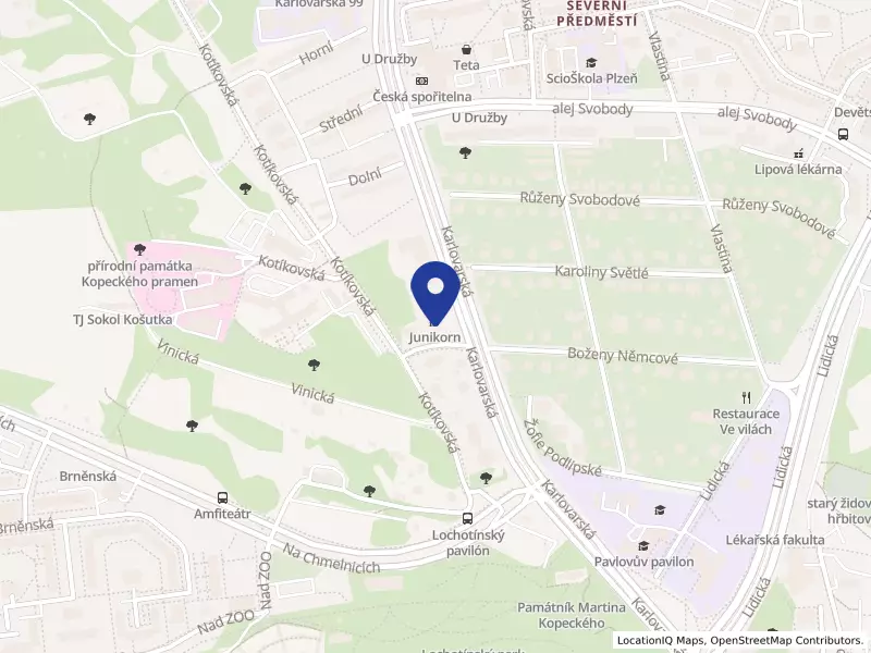 Junikorn z.s., Boženy Němcové 573/3, 32300 Plzeň - Severní Předměstí, IČO 02488311