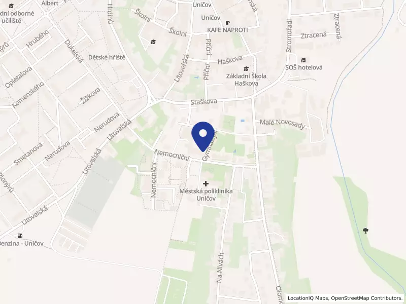 Gymnázium, Uničov, Gymnazijní 257, Uničov, Gymnazijní 257, 78391 Uničov - Uničov, IČO 00601756