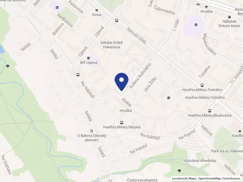 IREA medical s.r.o., Klidná 694/11, 73601 Havířov - Město, IČO 07692625
