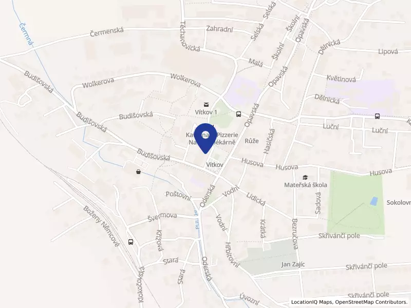 Chytrá lékárna a.s., náměstí Jana Zajíce 6, 74901 Vítkov - Vítkov, IČO 08369437