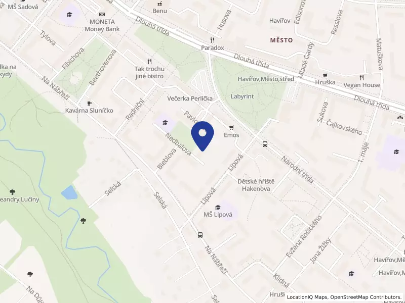 Dětské centrum Pluto, příspěvková organizace, Lípová 618/12, 73601 Havířov - Město, IČO 08389624