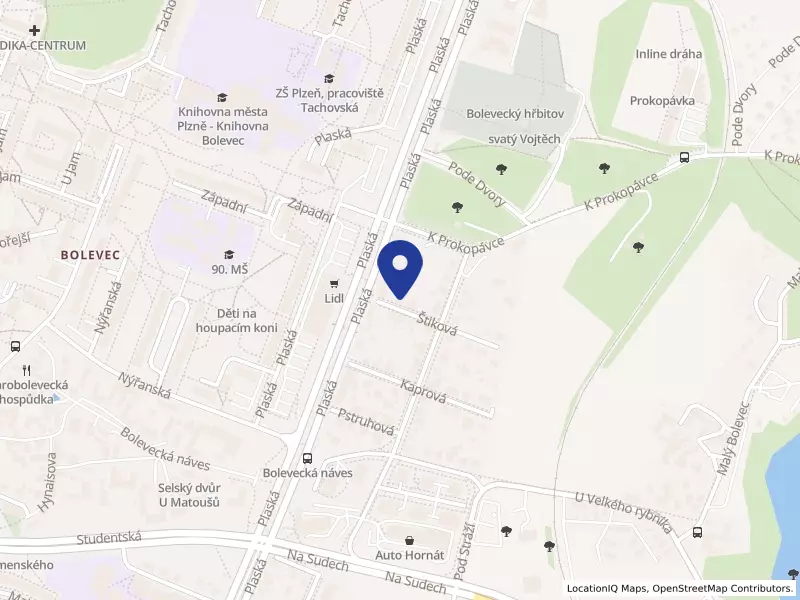 VLAHYS CZ s.r.o., Štiková 557/5, 32300 Plzeň - Bolevec, IČO 23166673