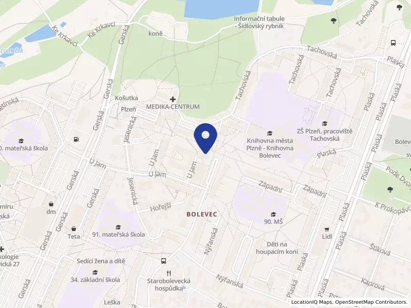 Mezigenerační a dobrovolnické centrum TOTEM, z.s., Kaznějovská 1517/51, 32300 Plzeň - Bolevec, IČO 69966303