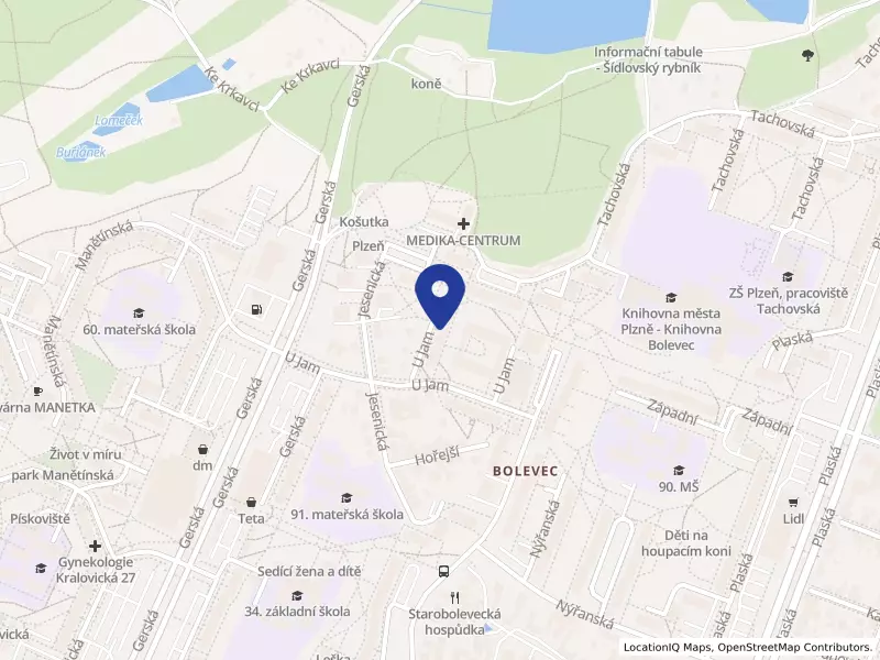 Plzeňský SOMMELIER s.r.o., U Jam 1390/19, 32300 Plzeň - Bolevec, IČO 04085299