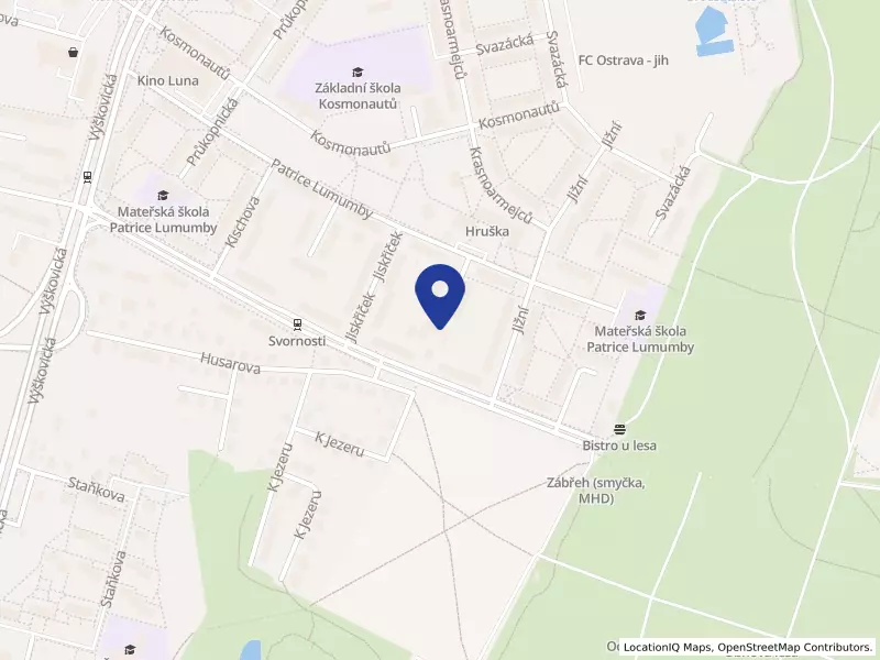 Ledax Ostrava o.p.s., Patrice Lumumby 2608, 70030 Ostrava - Zábřeh, IČO 28131401
