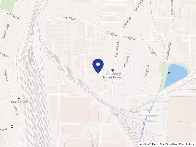 Richter Medical, s.r.o., Lešetínská 673/64, 71900 Ostrava - Kunčice, IČO 29456860