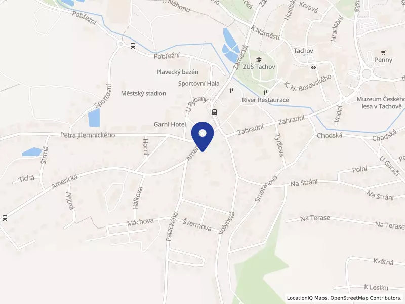 Centrum sociálních služeb Tachov, příspěvková organizace, Americká 242, 34701 Tachov - Tachov, IČO 00377805