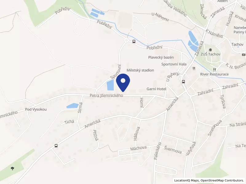 Dětský domov, Tachov, Petra Jilemnického 576, 34701 Tachov - Tachov, IČO 70842558
