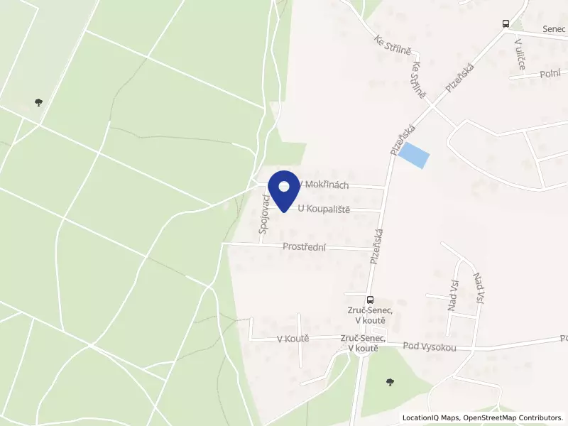 Wink s.r.o., Zruč-Senec, U koupaliště 185, 33008 Zruč-Senec - Senec, IČO 09233849