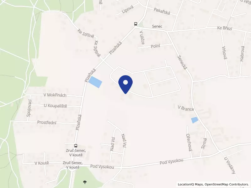 JV-BIO s.r.o., Nad Koupalištěm 540, 33008 Zruč-Senec - Senec, IČO 29158940