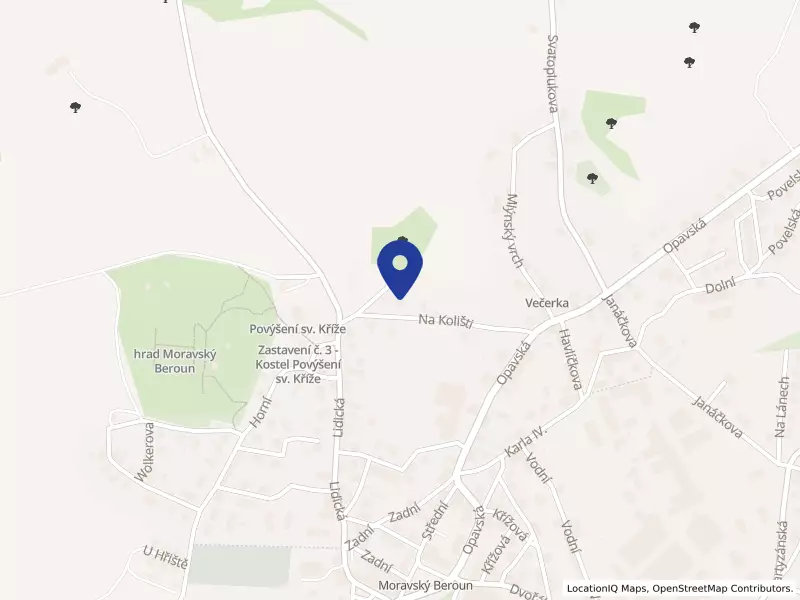 FLEXICAR s.r.o., Moravský Beroun, Na Kolišti 420, 79305 Moravský Beroun - Moravský Beroun, IČO 27762670