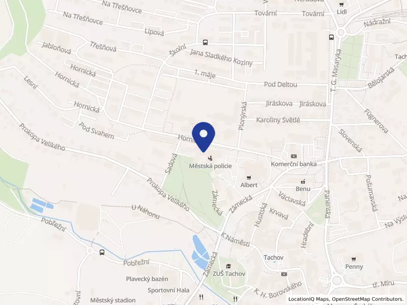 Město Tachov, Hornická 1695, 34701 Tachov - Tachov, IČO 00260231