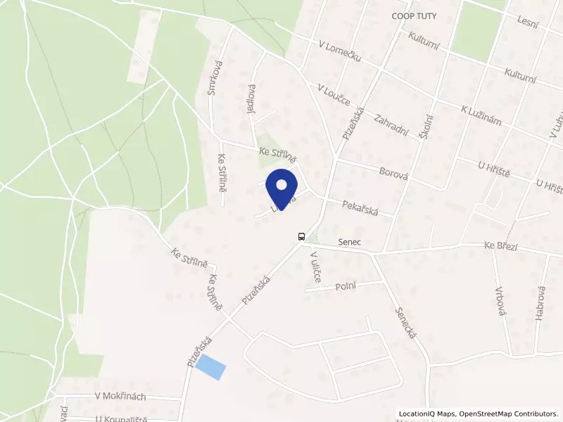 PROOKNO s.r.o., Lipová 595, 33008 Zruč-Senec - Senec, IČO 08429987