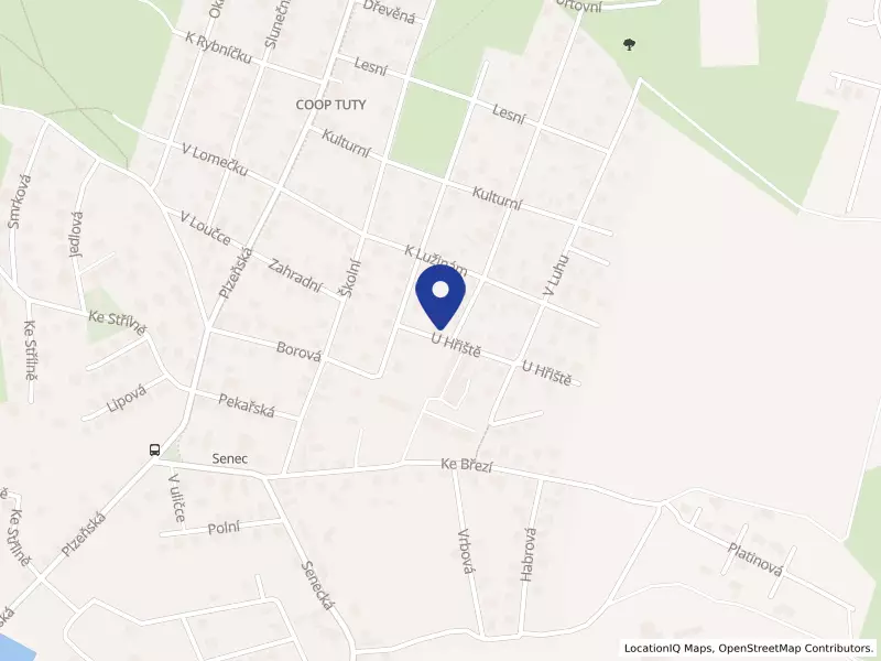MH PRO, s.r.o., U hřiště 126, 33008 Zruč-Senec - Senec, IČO 27961460