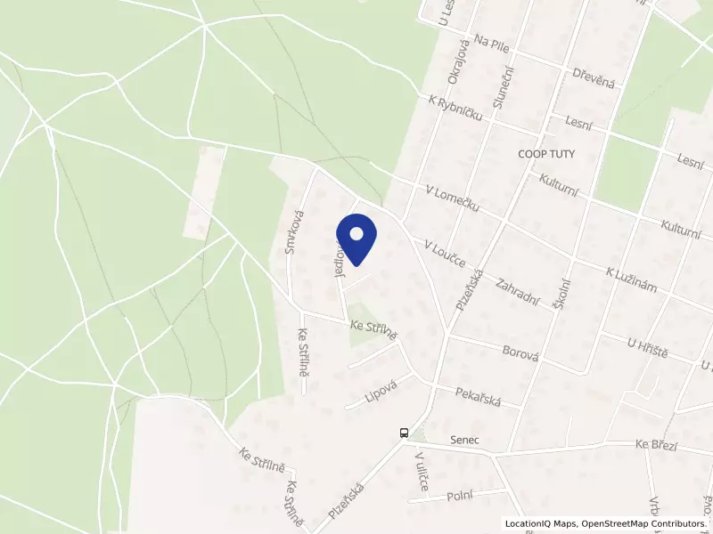 Pro lidi a sport, s.r.o., Jedlová 354, 33008 Zruč-Senec - Senec, IČO 17170061