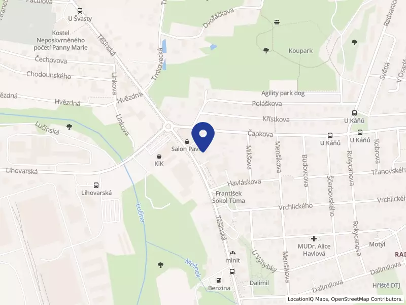 Mateřská škola Ostrava-Radvanice, Těšínská 279, příspěvková organizace, Těšínská 206/279, 71600 Ostrava - Radvanice, IČO 70987742