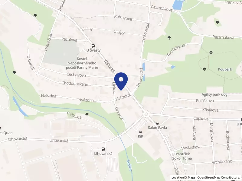 Pekařství MAYAK, a.s., Těšínská 28/264, 71600 Ostrava - Radvanice, IČO 25364634