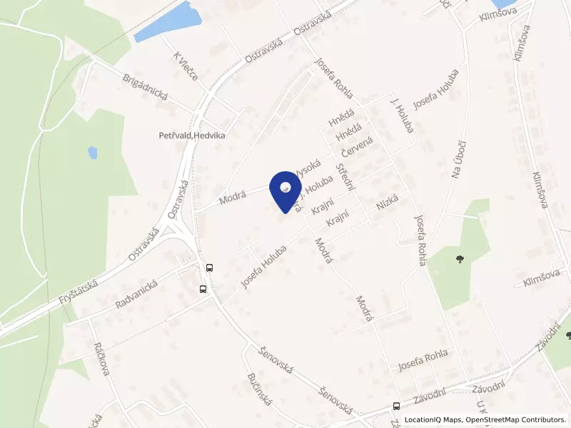 Benjamín, příspěvková organizace, Modrá 1705, 73541 Petřvald - Petřvald, IČO 00847461