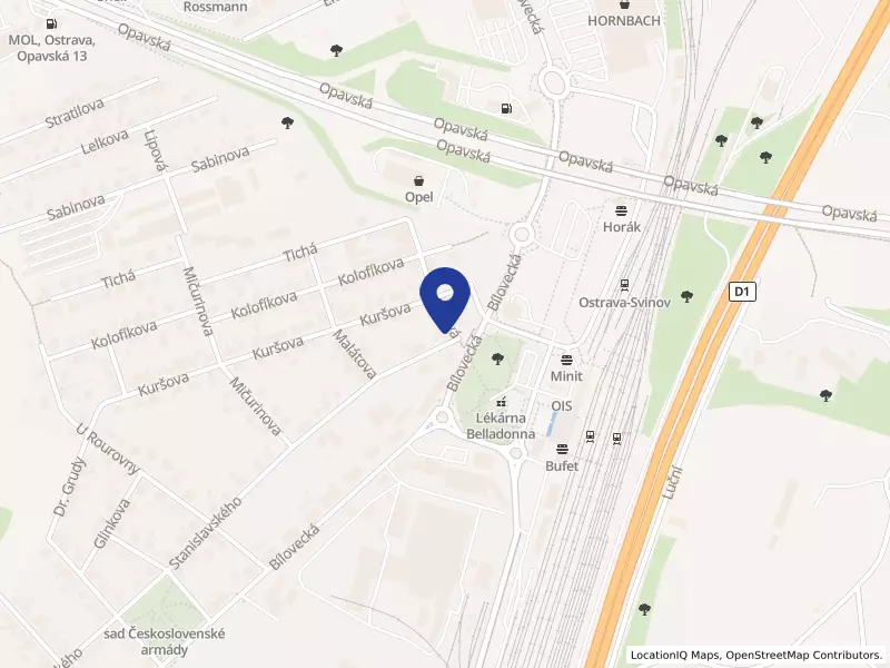 Spolek Ostravský Kamínek,z.s., Stanislavského 391/2, 72100 Ostrava - Svinov, IČO 26677865