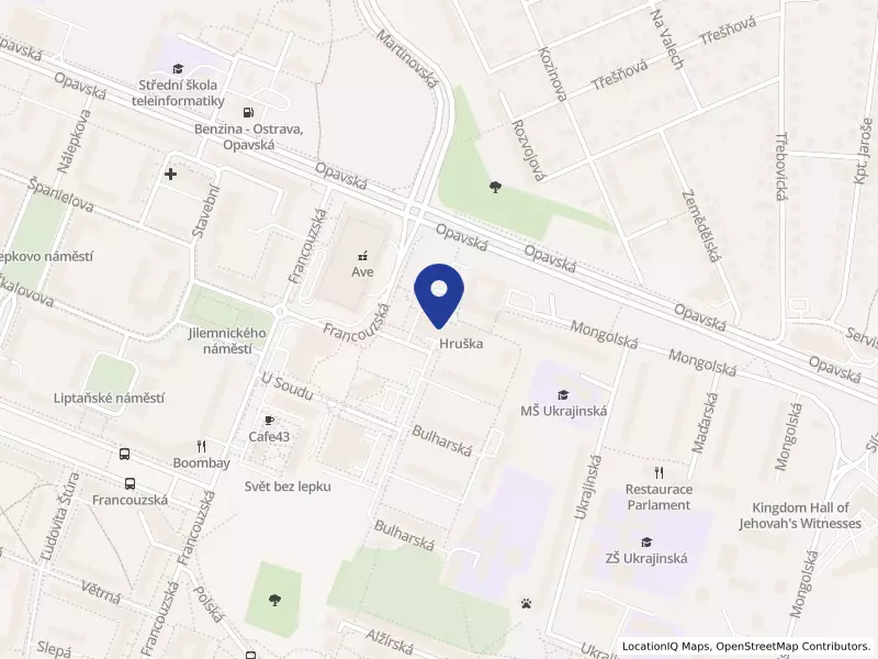 InfinityMedical s.r.o., Mongolská 1529/6, 70800 Ostrava - Poruba, IČO 14352281