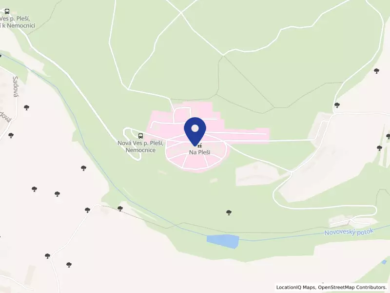 Nemocnice Na Pleši s.r.o., 110, 26204 Nová Ves pod Pleší - Nová Ves pod Pleší, IČO 27207064