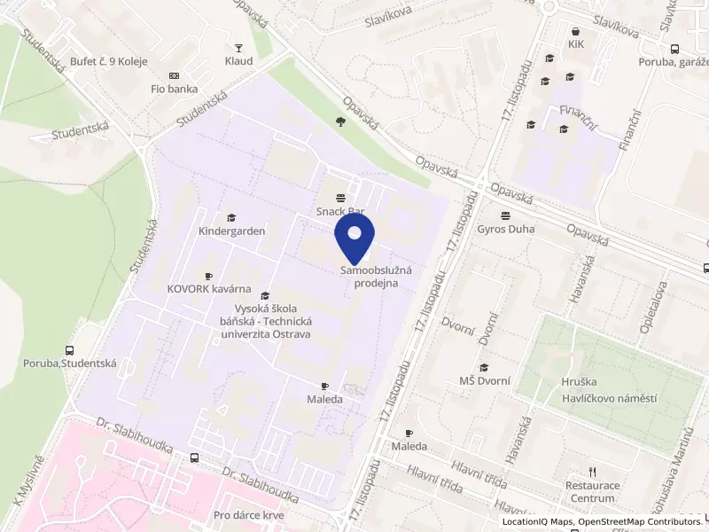 Vysoká škola báňská - Technická univerzita Ostrava, 17. listopadu 2172/15, 70800 Ostrava - Poruba, IČO 61989100