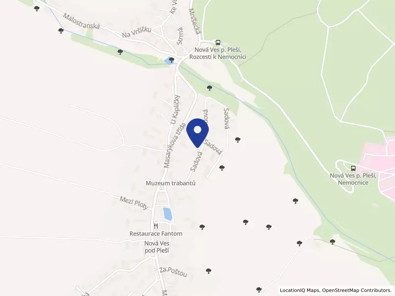 Restaurace ESME s.r.o., Sadová 183, 26204 Nová Ves pod Pleší - Nová Ves pod Pleší, IČO 09436359