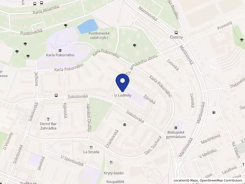 MUDr. Hana Matoušková s.r.o., 1. československého armádního sboru 1322/2, 70800 Ostrava - Poruba, IČO 01658573