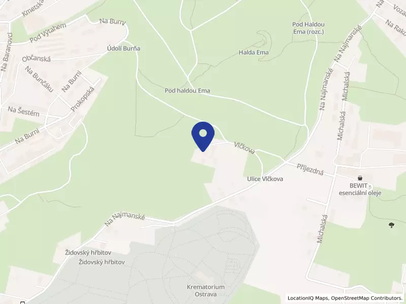 Sportovní klub Mušketýr Ostrava z.s., Vlčkova 391/40, 71000 Ostrava - Slezská Ostrava, IČO 49593579