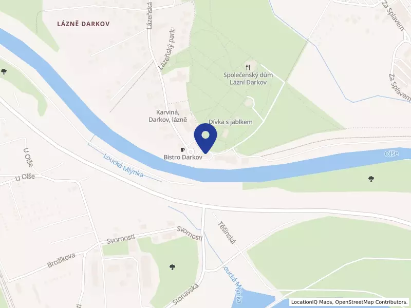 Domov Alzheimer Darkov z.ú., Lázeňská 48/41, 73503 Karviná - Lázně Darkov, IČO 02496470