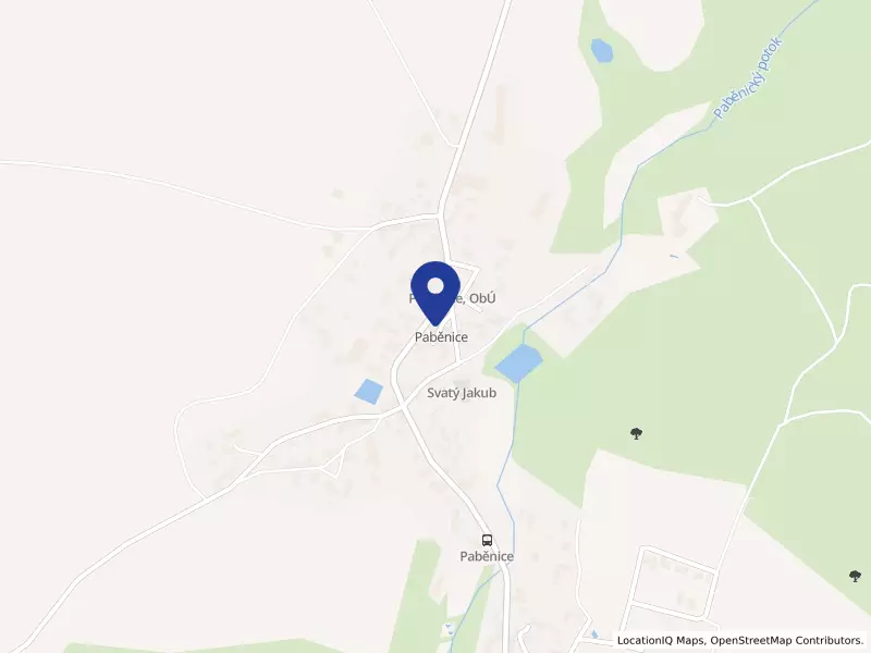 Cesta životem bez bariér, z.s., Paběnice, 75, 28543 Paběnice - Paběnice, IČO 27044700