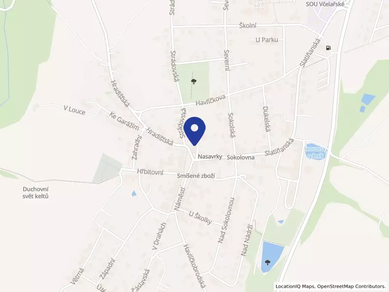 Město Nasavrky, Náměstí 77, 53825 Nasavrky - Nasavrky, IČO 00270580