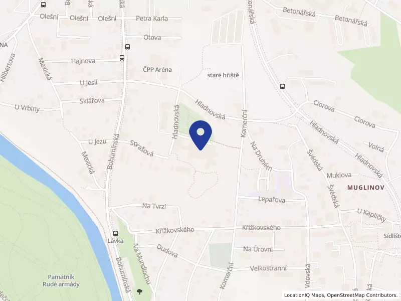 Čtyřlístek - centrum pro osoby se zdravotním postižením Ostrava, příspěvková organizace, Hladnovská 751/119, 71200 Ostrava - Muglinov, IČO 70631808
