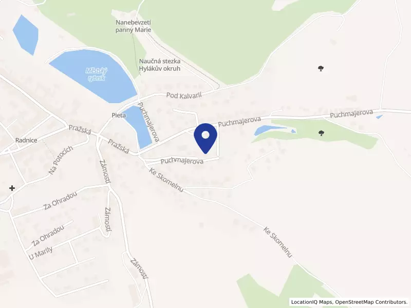 MAREMA s.r.o., Puchmajerova 427, 33828 Radnice - Radnice, IČO 02672561