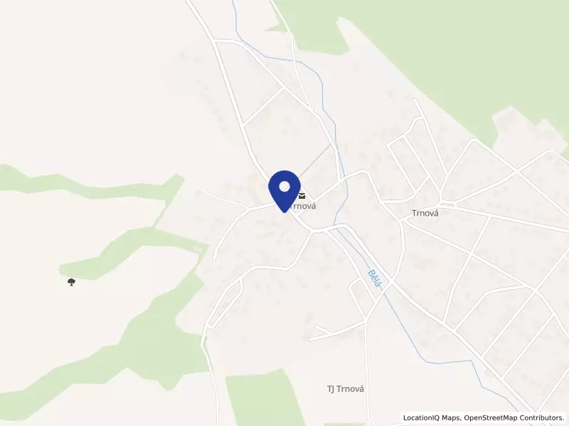 HIPPO Logistik, s.r.o., 71, 33013 Trnová - Trnová, IČO 26375052