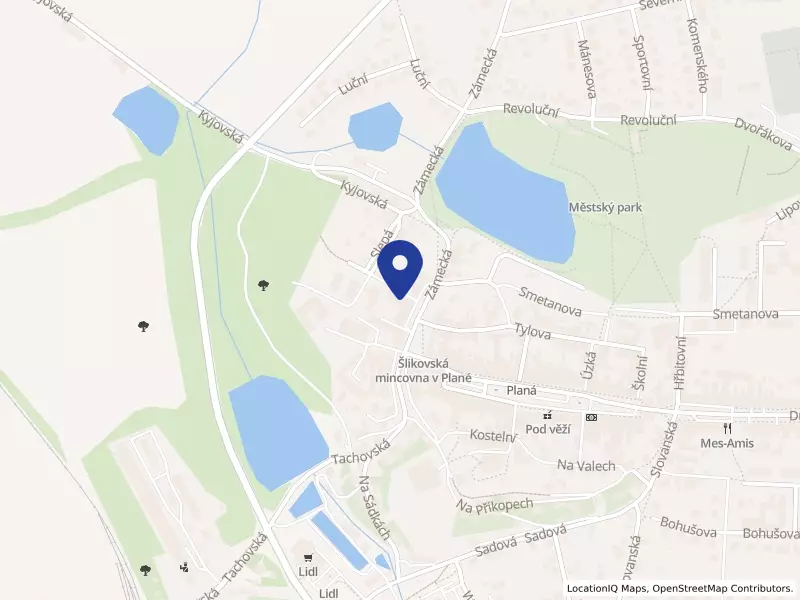 Dětský domov Čtyřlístek, Planá, Planá, Zámecká 853, 34815 Planá - Planá, IČO 70842540