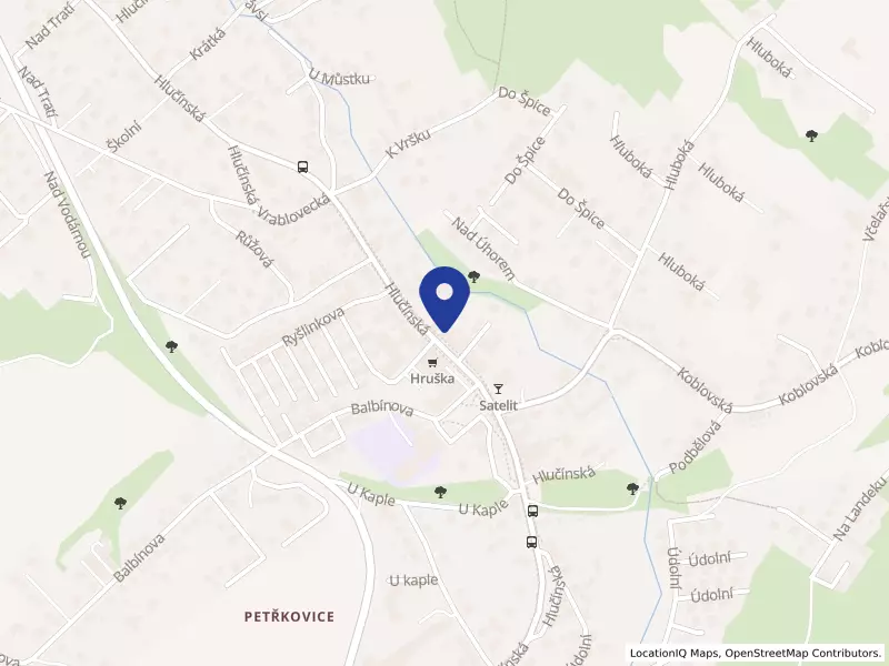Řeznictví JANUS, s. r. o., Hlučínská 4, 72529 Ostrava - Petřkovice, IČO 26869071